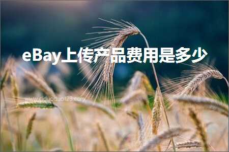 璺ㄥ鐢靛晢鐭ヨ瘑:eBay涓婁紶浜у搧璐圭敤鏄灏? width=